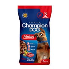 Champion dog adulto