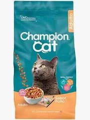 Champion cat pollo