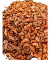 Pulgas de mar